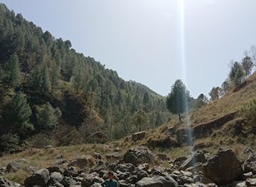 pakistan/ayubia-national-park/landmark/poona-waterfall