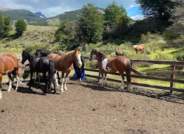 argentina/southern-patagonia/landmark/estancia-tierras-patagonicas
