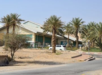 israel/ein-gedi/landmark/ein-gedi-beach-water