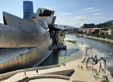 spain/bilbao/deusto/landmark/guggenheim-museum-bilbao