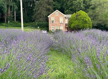 illinois/western-illinois/landmark/peoria-mineral-springs-inc