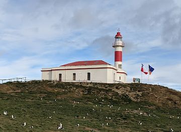 chile/tierra-del-fuego/landmark/magdalena-island
