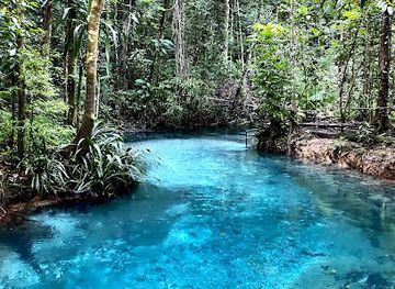 indonesia/highlands-papua/landmark/kali-biru-blue-river-raja-ampat