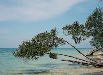 vietnam/phu-quoc/landmark/vietjeep-adventure-phu-quoc