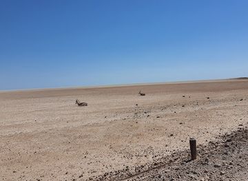 angola/namibe-desert/landmark/etosha-pan-lookout