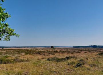 netherlands/hoge-veluwe-national-park/landmark/oud-reemsterzand