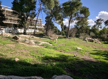 israel/jerusalem/landmark/moon-grove
