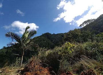puerto-rico/la-cordillera-central/landmark/cerro-rosa