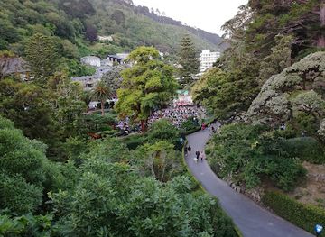new-zealand/wellington/kelburn/landmark/the-soundshell