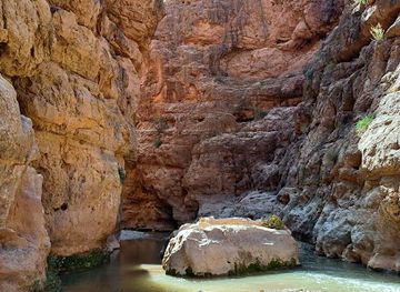 morocco/dades-valley/landmark/dades-valley-activities