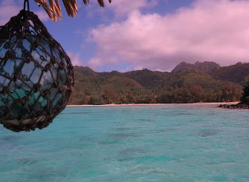 cook-islands/arorangi/landmark/takitumu-conservation-area