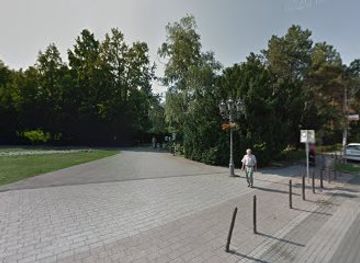 serbia/vojvodina/landmark/zalosna-vrba-drvo-aspirin-posvecen-sisi