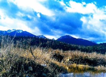 montana/libby/landmark/hav-a-java-expresso-to-go