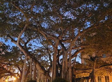 florida/fort-myers/landmark/true-tours