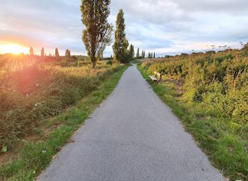 united-kingdom/chester/landmark/countess-of-chester-country-park