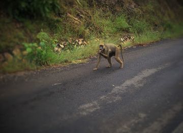malawi/lake-malawi/landmark/lake-malawi-outlet-view