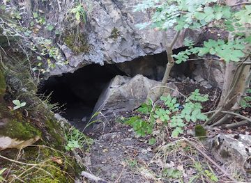 romania/hunedoara/landmark/grota-castel