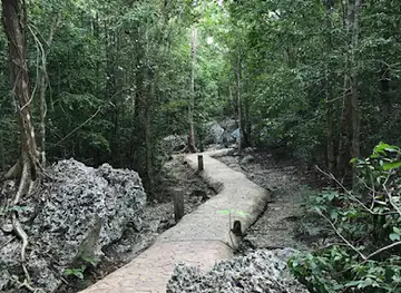 Green Grotto Caves