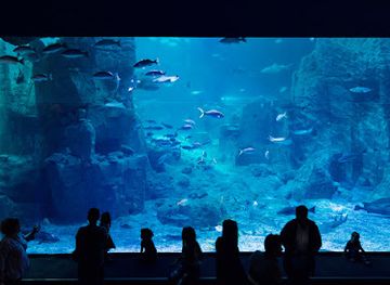 turkiye/black-sea-region/landmark/istanbul-aquarium