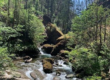 oregon/cascade-mountains/landmark/wahclella-falls-trail