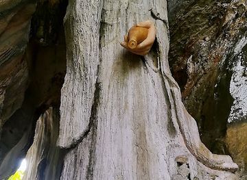 malaysia/kelantan/landmark/zi-xia-guan-gua-musang