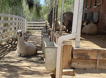 california/santa-clarita/landmark/the-gentle-barn