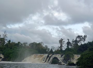 cameroon/south-west-region/landmark/chutes-de-la-lobe