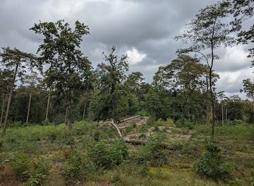 belgium/kempense-heuvelrug/landmark/kabouterberg