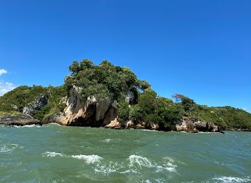 dominican-republic/samana/landmark/tour-whales-samana