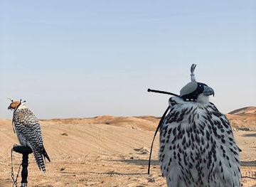 united-arab-emirates/al-ain/landmark/falconry