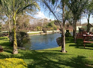 zambia/kafue-flats/landmark/green-finger-nursery-and-shack-cafe