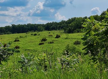 wisconsin/blue-hills/landmark/new-glarus-woods-state-park