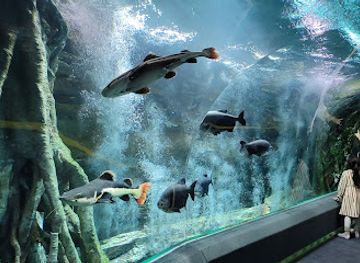 south-korea/yeongnam-region/landmark/lotte-world-aquarium