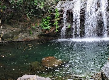jamaica/south-coast/landmark/fish-dunn-fall-s