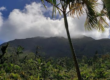 dominica/la-plaine/landmark/central-forest-reserve