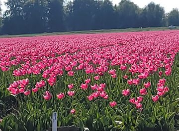 netherlands/flevoland/landmark/flevopolder