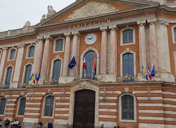france/toulouse/capitole/landmark/capitolio-de-toulusse