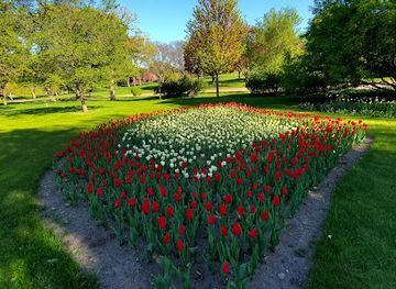 minnesota/lake-of-the-woods/landmark/lakewood-cemetery