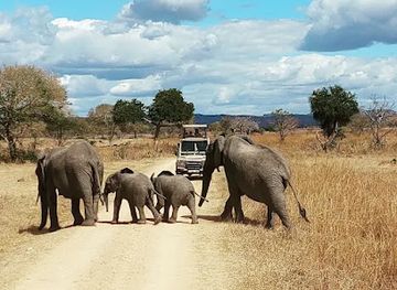 tanzania/mikumi-region/landmark/tanzamerica-safaris-ltd