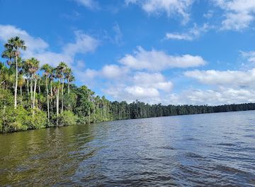 peru/apurimac/landmark/reserva-nacional-tambopata