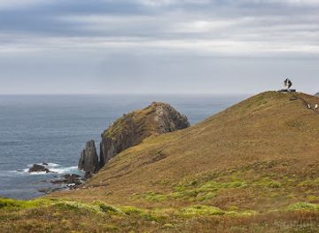 chile/tierra-del-fuego/landmark/parque-nacional-cabo-de-hornos