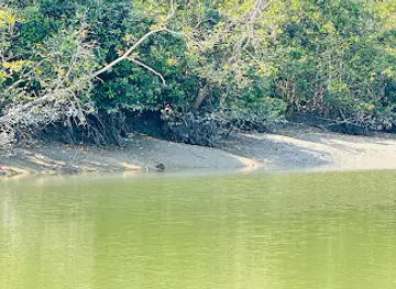 Sundarban Mangrove Forest