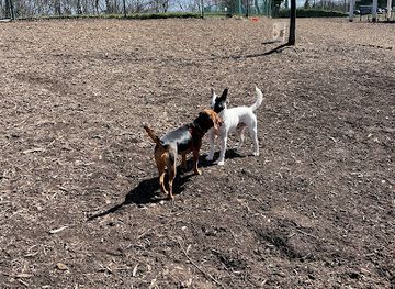 kentucky/fort-thomas/landmark/fort-thomas-dog-park