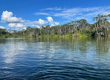 Attraction