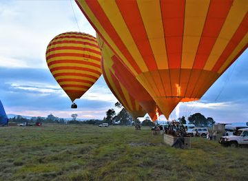 australia/surfers-paradise/landmark/hot-air-balloon-gold-coast