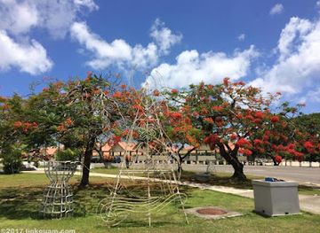 guam/hagatna/landmark/meskla-chamoru-fusion-bistro-hagatna