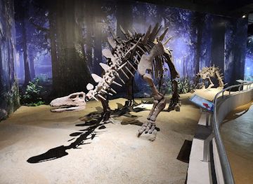 malaysia/genting-highlands/landmark/ripley-s-adventureland