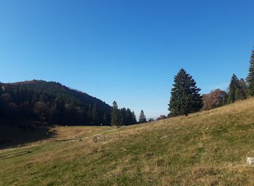 romania/poiana-brasov/landmark/the-reservation-of-secular-oaks