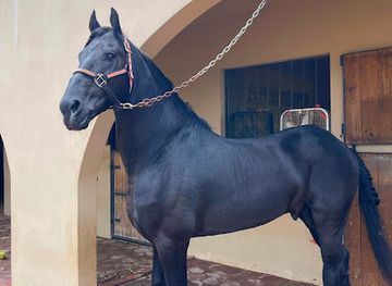 mexico/matamoros/landmark/hacienda-los-camperos