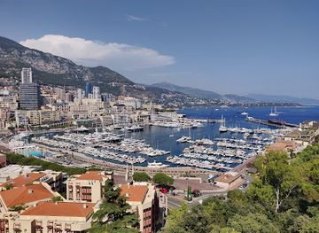 monaco/monaco-harbor/landmark/hop-on-hop-off-monaco